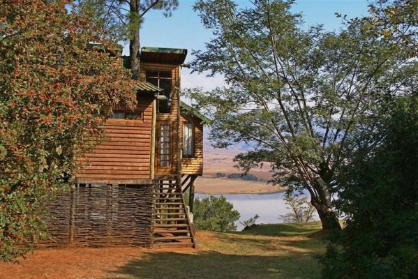 Bahati Tree Lodge