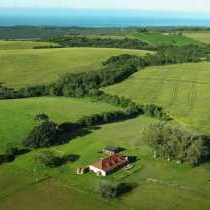 Aerial view of Libertas Farmhouse