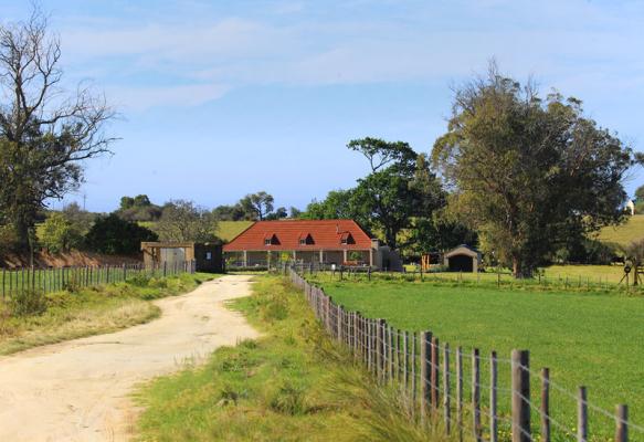 Farmhouse - exterior view