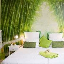 Room Bamboo