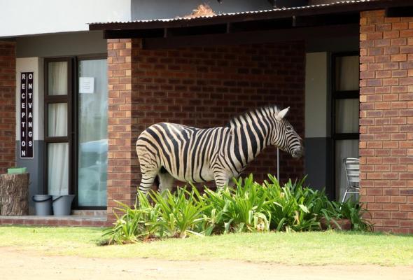 De Kleine Serengeti Game Lodge