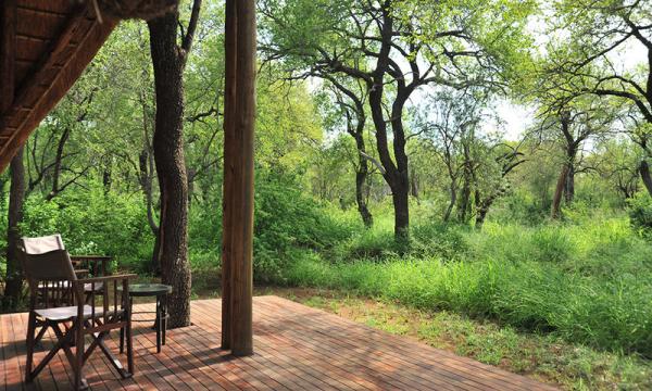 Black Rhino Game Lodge - Pilanesberg Game Reserve