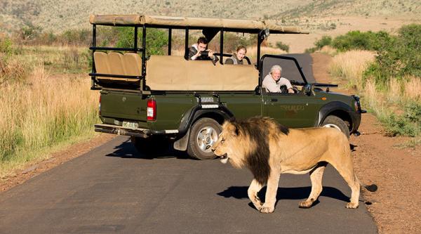 Tshukudu Bush Lodge