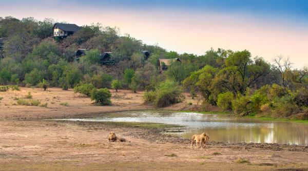 Tshukudu Bush Lodge