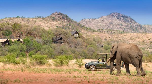 Tshukudu Bush Lodge