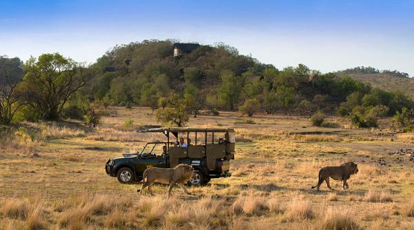 Tshukudu Bush Lodge