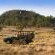 Tshukudu Bush Lodge Tshukudu Bush Lodge