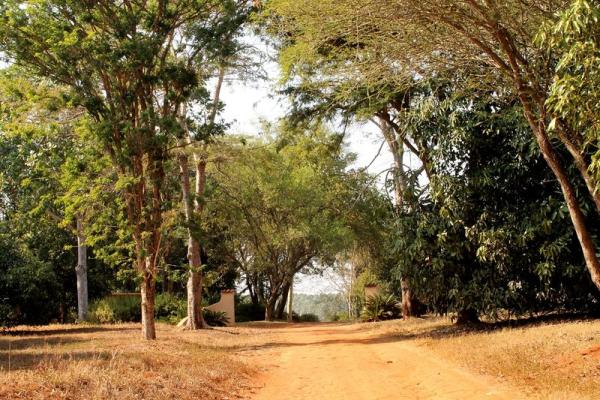 Boschoek Farm