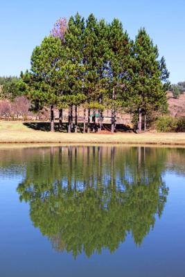 The Kingfisher Country Cottages and Trout Lodge