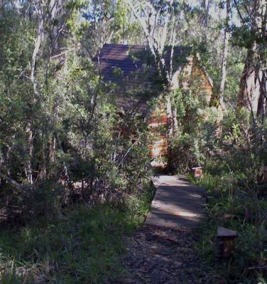 Owl Cabin