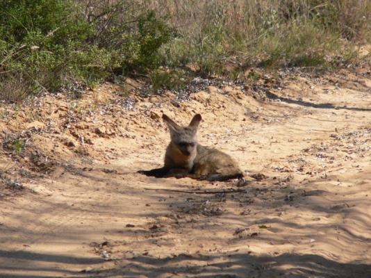 Izintaba Private Game Reserve