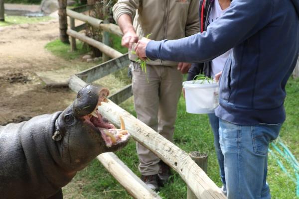 Cango Wildlife Ranch