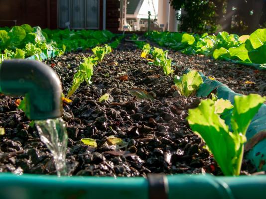 Hamilton Urban Farm and Guest House