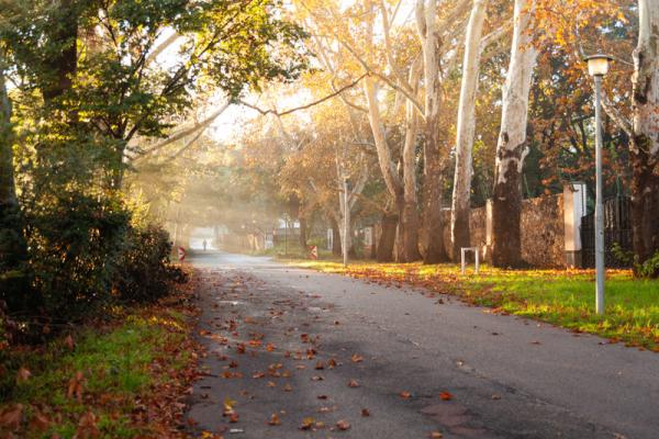 ENTRANCE TO TWIN RIVERS ESTATE