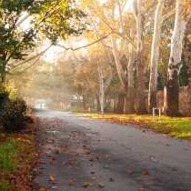 ENTRANCE TO TWIN RIVERS ESTATE