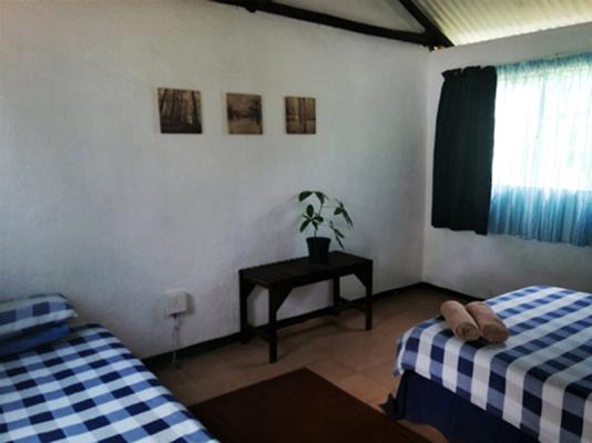 Plain Double Room1