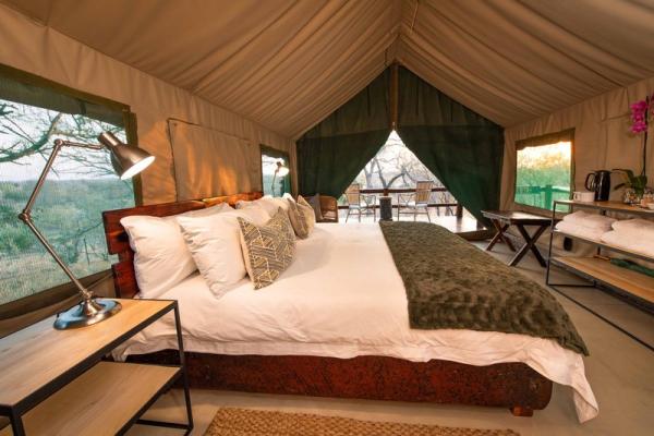 Safari Tent