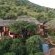 Thanda Private Game Reserve