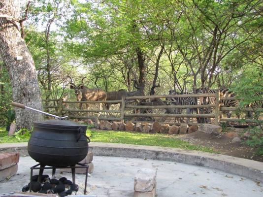 Braai Area