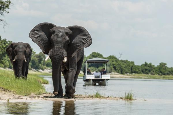 The Boat Excursion at Muchenje