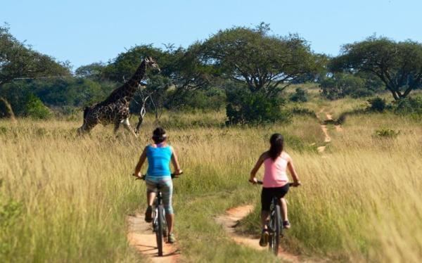 Mountain Biking