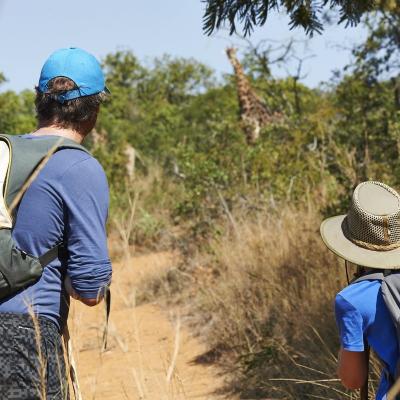 Hiking Trails