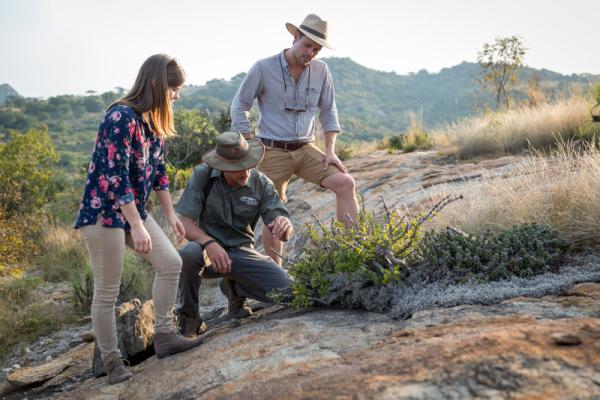 Guided Bush Walks