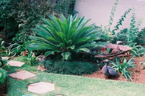 Kloof Bed and Breakfast