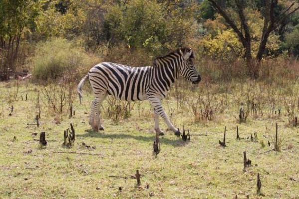 Kloof Bed and Breakfast