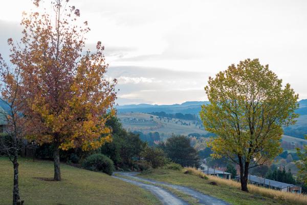 Inverness Farm 