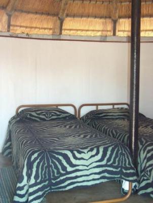 Balule (Satellite Camp) - Kruger Park