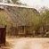 Biyamiti Bush Camp - Kruger Park Biyamiti Bush Camp - Kruger Park