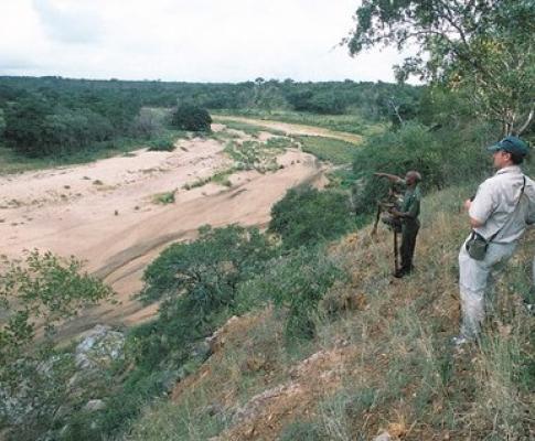 Biyamiti Bush Camp - Kruger Park