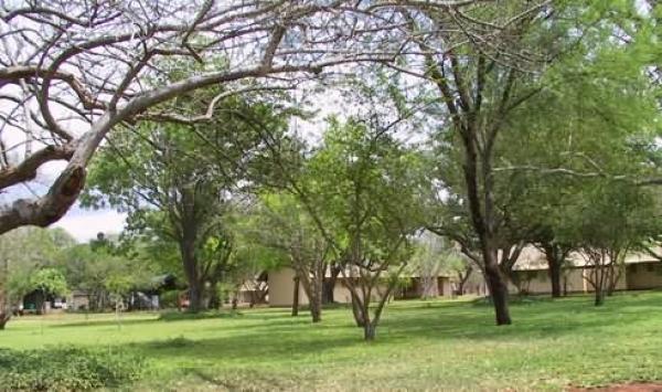 Crocodile Bridge Restcamp - Kruger Park