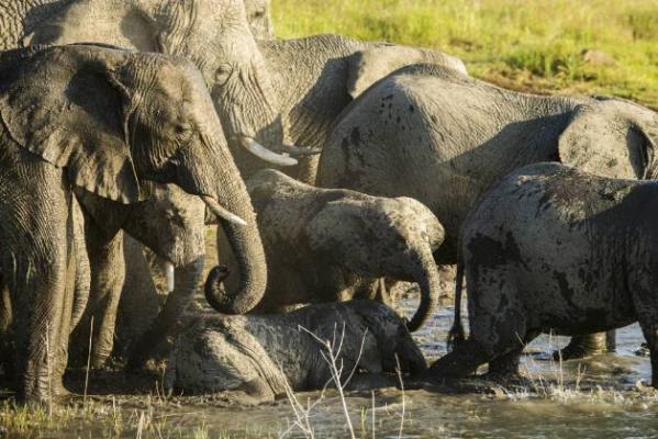 Ndaka Safari Lodge