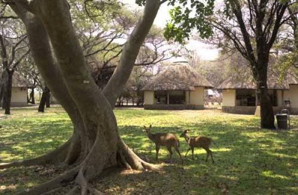 Letaba Restcamp - Kruger Park