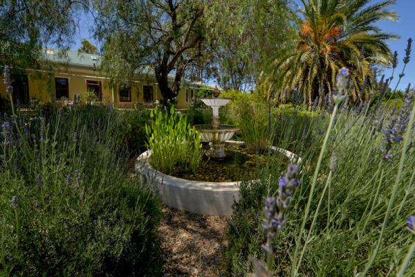 Gareden with Koi Pond