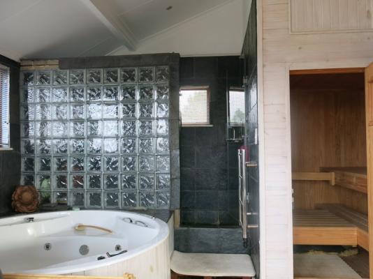 Shower, sauna, bath tub