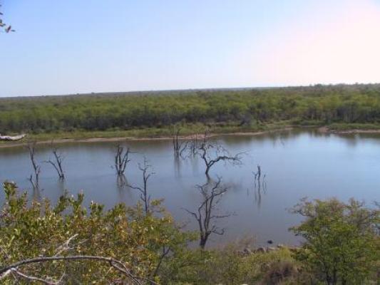 Mopani Restcamp - Kruger Park