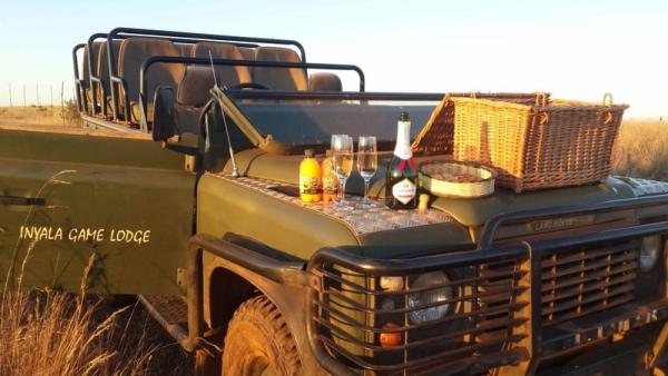 Game Drive and Picnic.