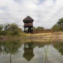 Naledi Game Lodge