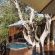Naledi Game Lodge