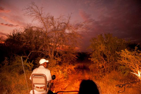 Naledi Game Lodge