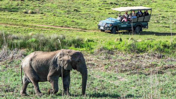 The Safari Lodge