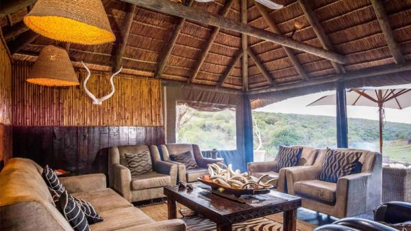 The Safari Lodge