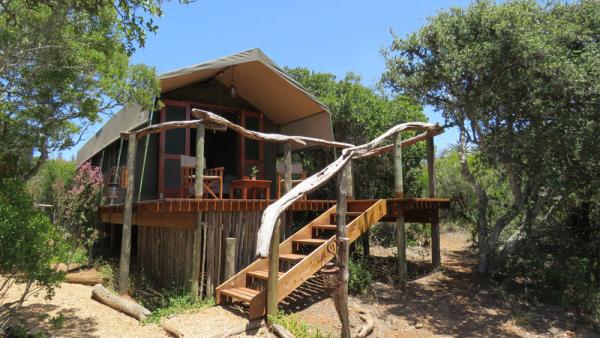 Woodbury Tented Camp