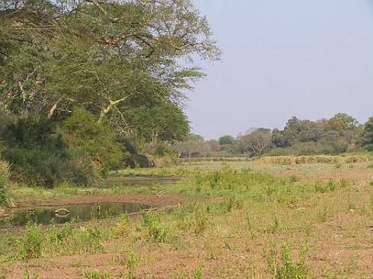 Shingwedzi Restcamp - Kruger Park