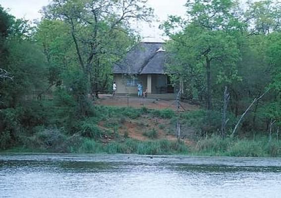 Sirheni (Bushveld Camp) - Kruger Park