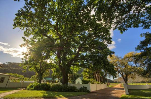 St Croix Guest Cottages Self Catering And Bed And Breakfast