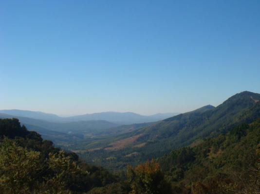 Magoebaskloof Hiking Trail